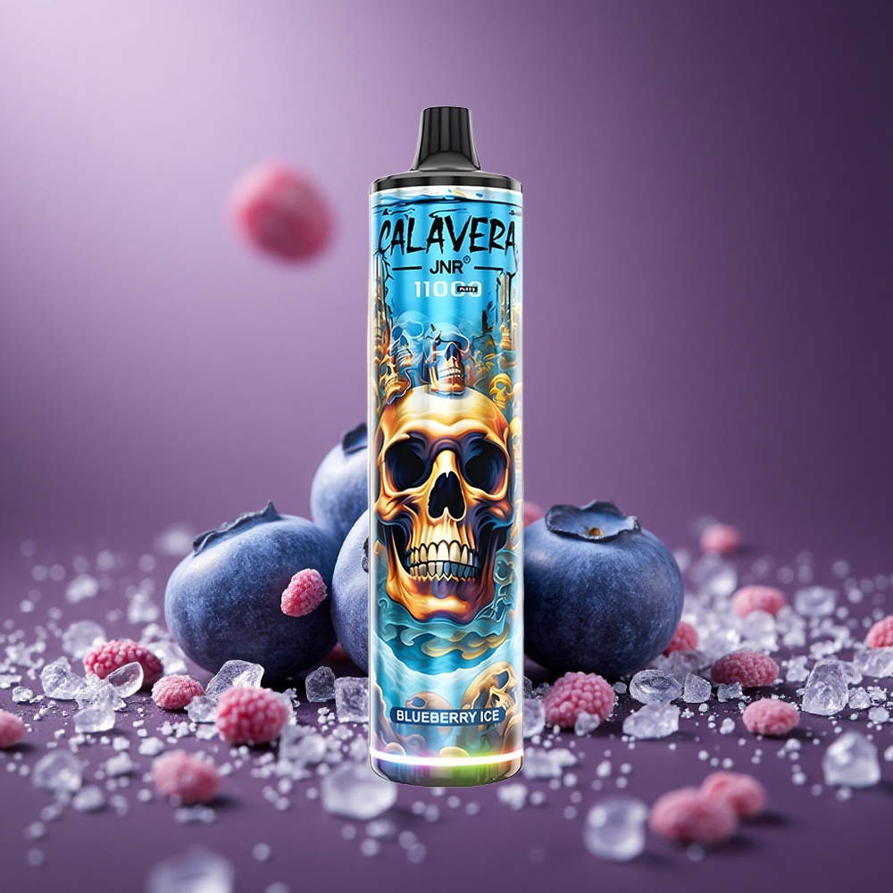 Heidelbeer-Eis JNR Calavera 11000 Puffs Österreich Großhandel Typ-C Ladung 850 mAh