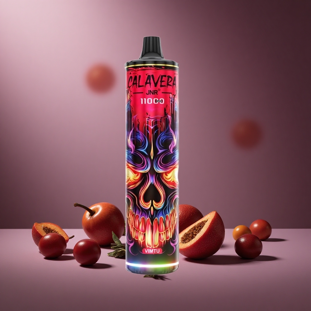 Menthol-Ingwer JNR Calavera 11000 Züge Österreich Großhandel Typ-C & 21ml