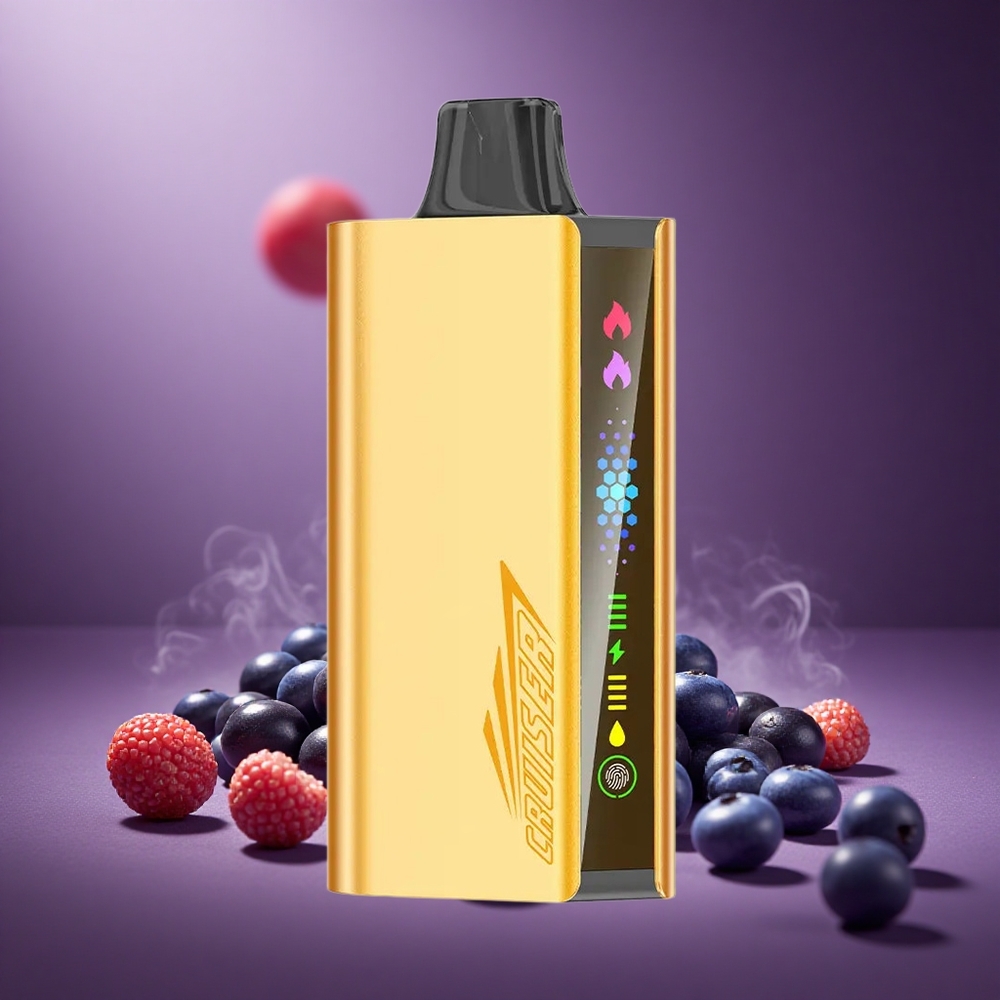 Blaubeergeschmack JNR Cruiser 12000 Puffs Österreich Großhandel Dual-Mesh-Coil 1,2 Ohm