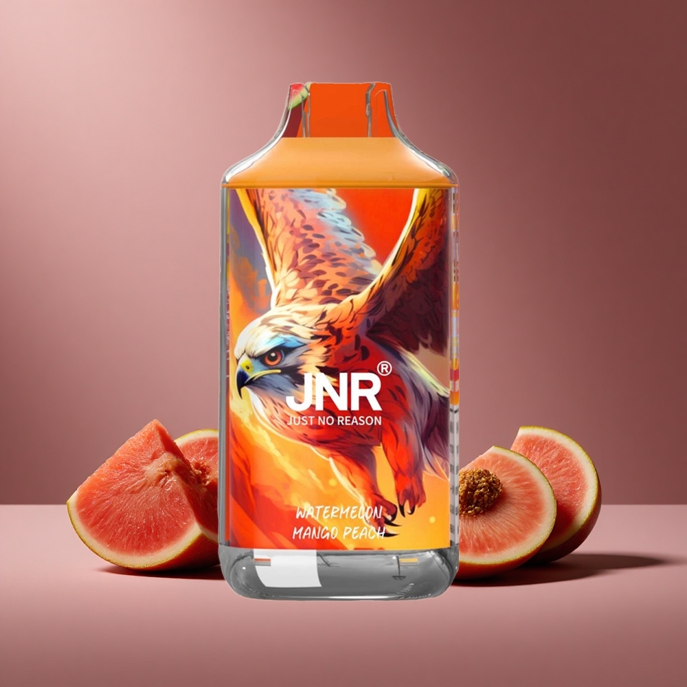 Wassermelone Mango Pfirsich JNR Falcon 16000 Züge Österreich Großhandel Dual Mesh Coil