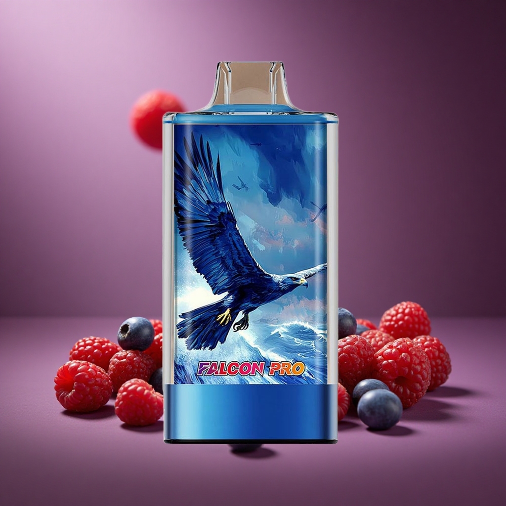 Heidelbeere-Sauerhimbeere JNR Falcon Pro 28000 Züge Österreich Großhandel 30ml & USB-C