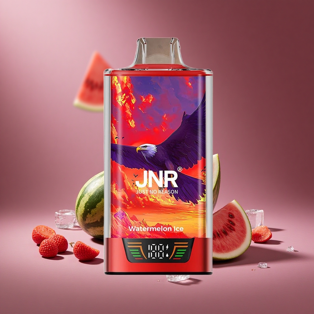 Wassermelone Eis JNR Falcon Pro 28000 Puffs Österreich Großhandel 30ml Dual Mesh Coil