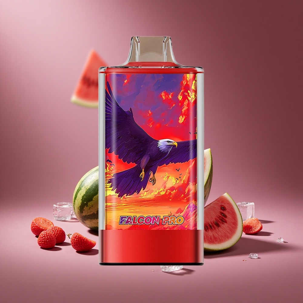 Wassermelone Eis JNR Falcon Pro 28000 Puffs Österreich Großhandel 30ml Dual Mesh Coil