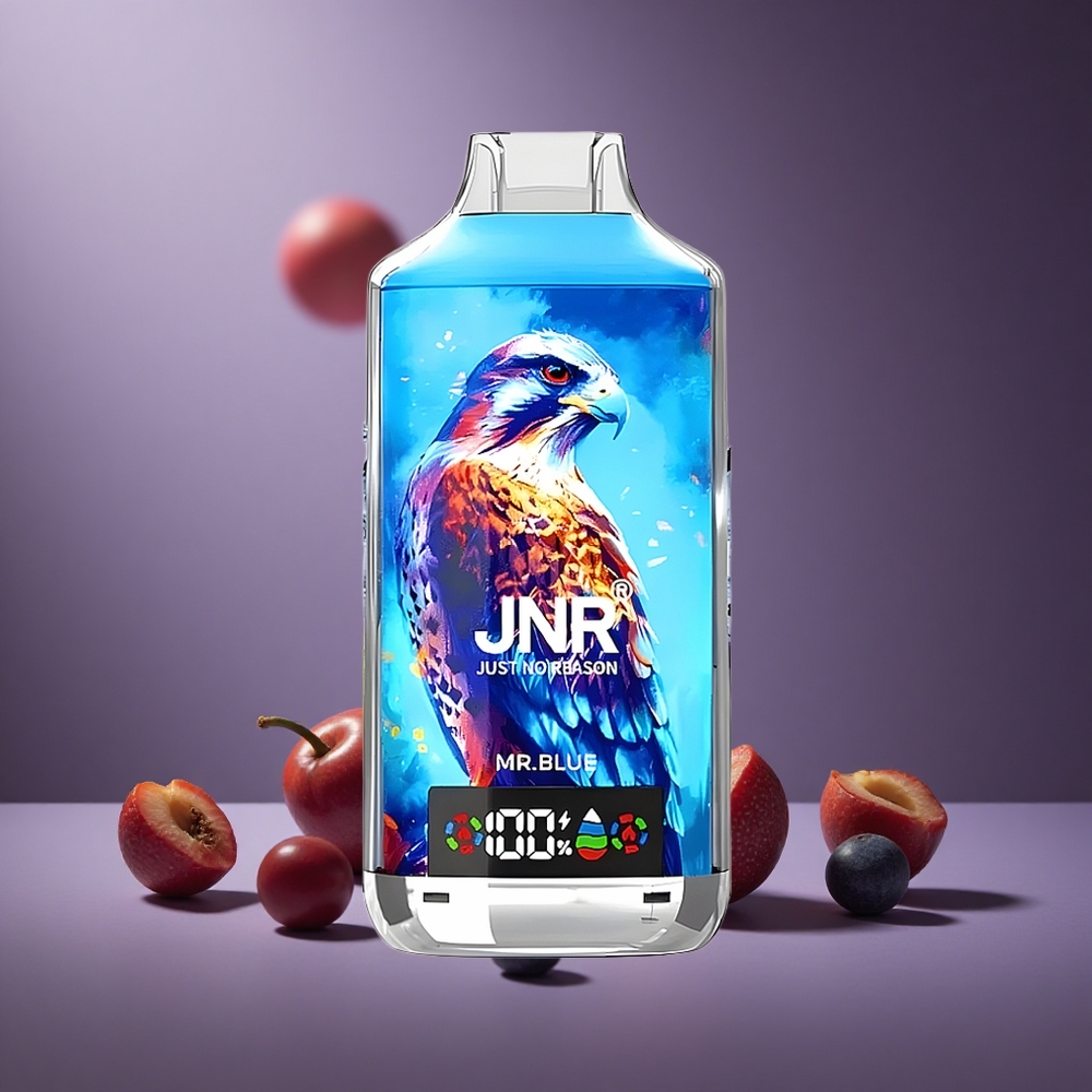 Blau JNR Falcon X 18000 Züge Österreich Großhandel Dual Mesh Coil & Dual Core