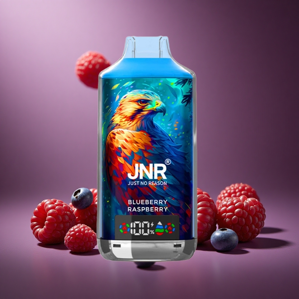 Blauberry-Himbeere JNR Falcon X 18000 Züge Österreich Großhandel Dual Mesh Coil & Dual Core