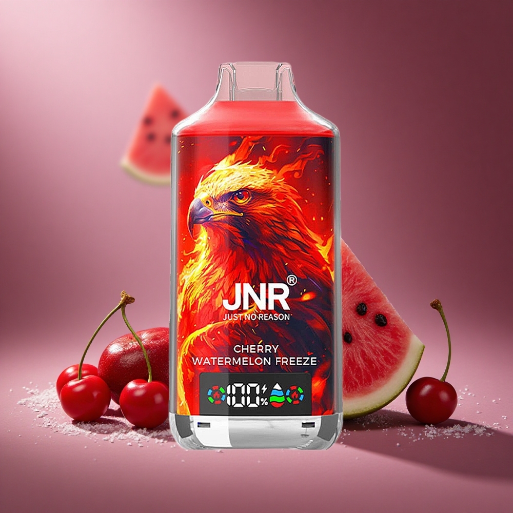 Kirsch-Wassermelone-Freeze JNR Falcon X 18000 Züge Österreich Großhandel Dual Mesh Coil & Digital Display