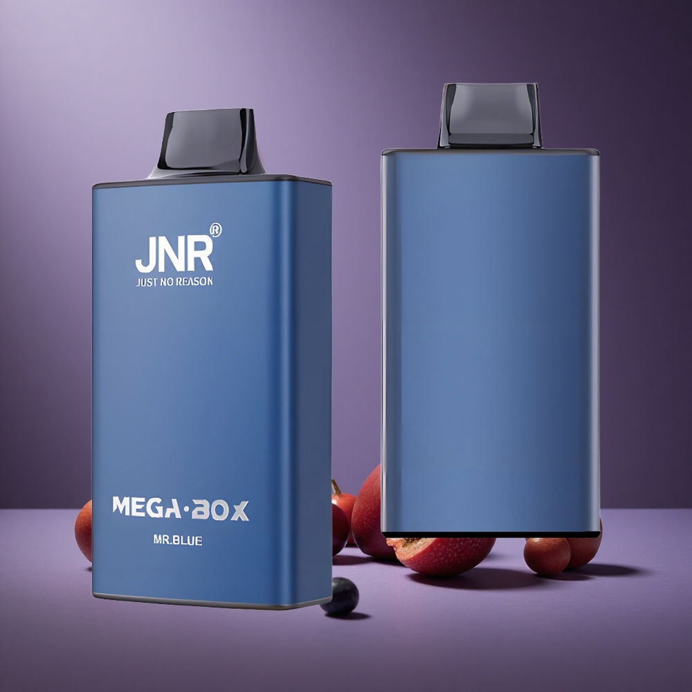 Blau Geschmack JNR Mega Box 25000 Züge Österreich Großhandel Dual Mesh Coil & Dual Core