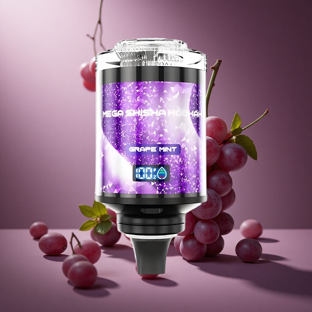 Traube Minze JNR Mega Shisha Hookah 100K Österreich Großhandel 60ml e-Liquid & 2200mAh Akku