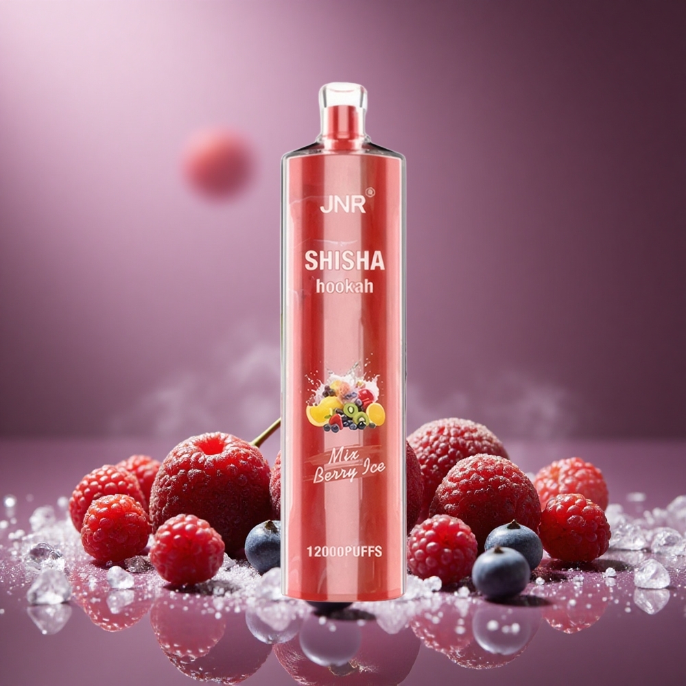 Beere-Eis JNR Shisha Hookah 12000 Züge Österreich Großhandel 750mAh Typ-C