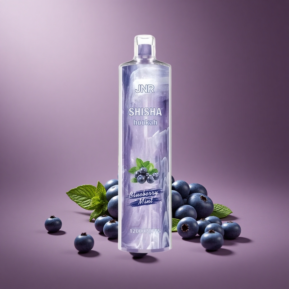 Blaubeer-Minze JNR Shisha Hookah 12000 Puffs Österreich Großhandel 24ml E-Liquid