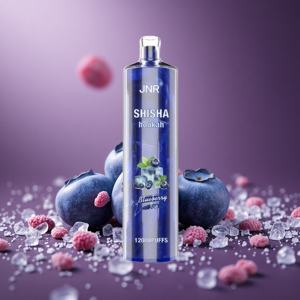 Heidelbeer-Eis JNR Shisha Hookah 12000 Züge Österreich Großhandel 750mAh Typ-C