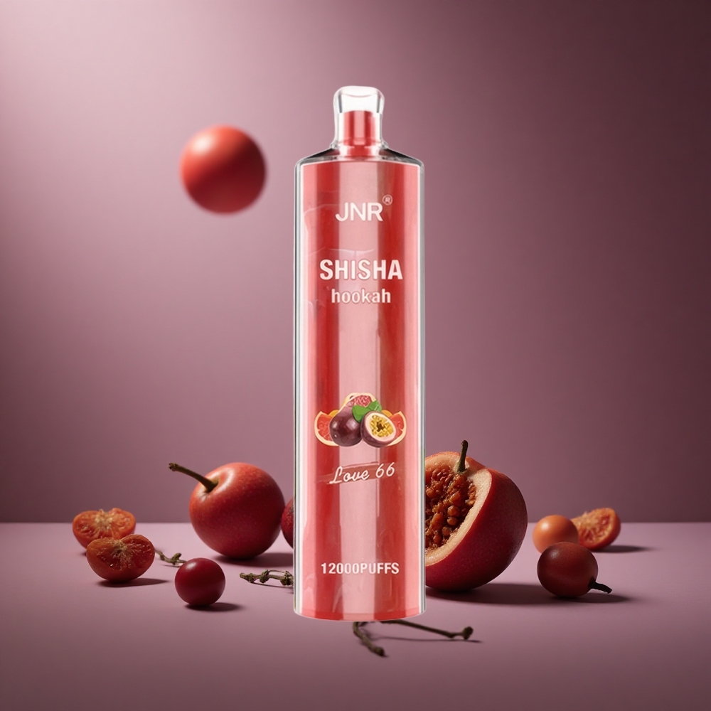 Liebe 66 JNR Shisha Hookah 12000 Züge Österreich Großhandel 24ml E-Liquid 750mAh