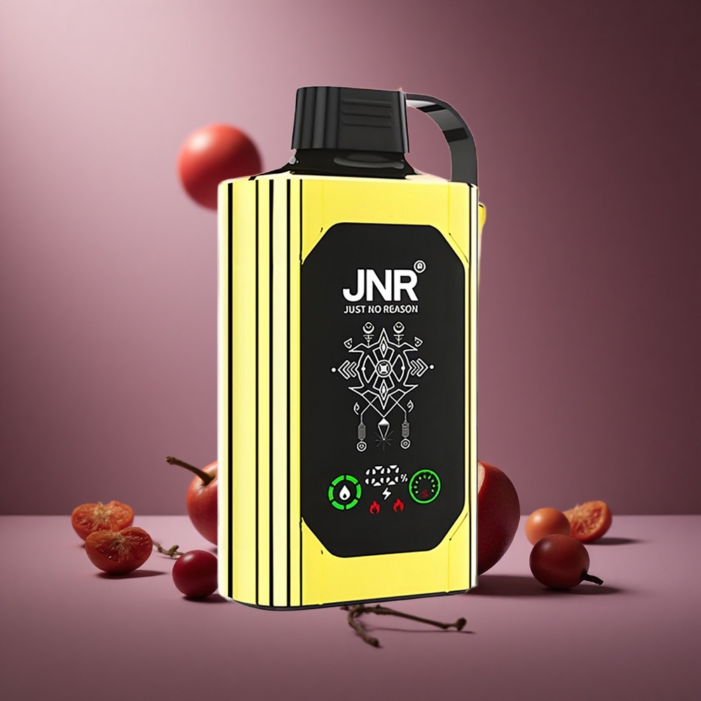 Liebe 66 JNR Shisha Hookah Box 20500 Züge Österreich Großhandel HD Display 25ml Dual Mesh Coil