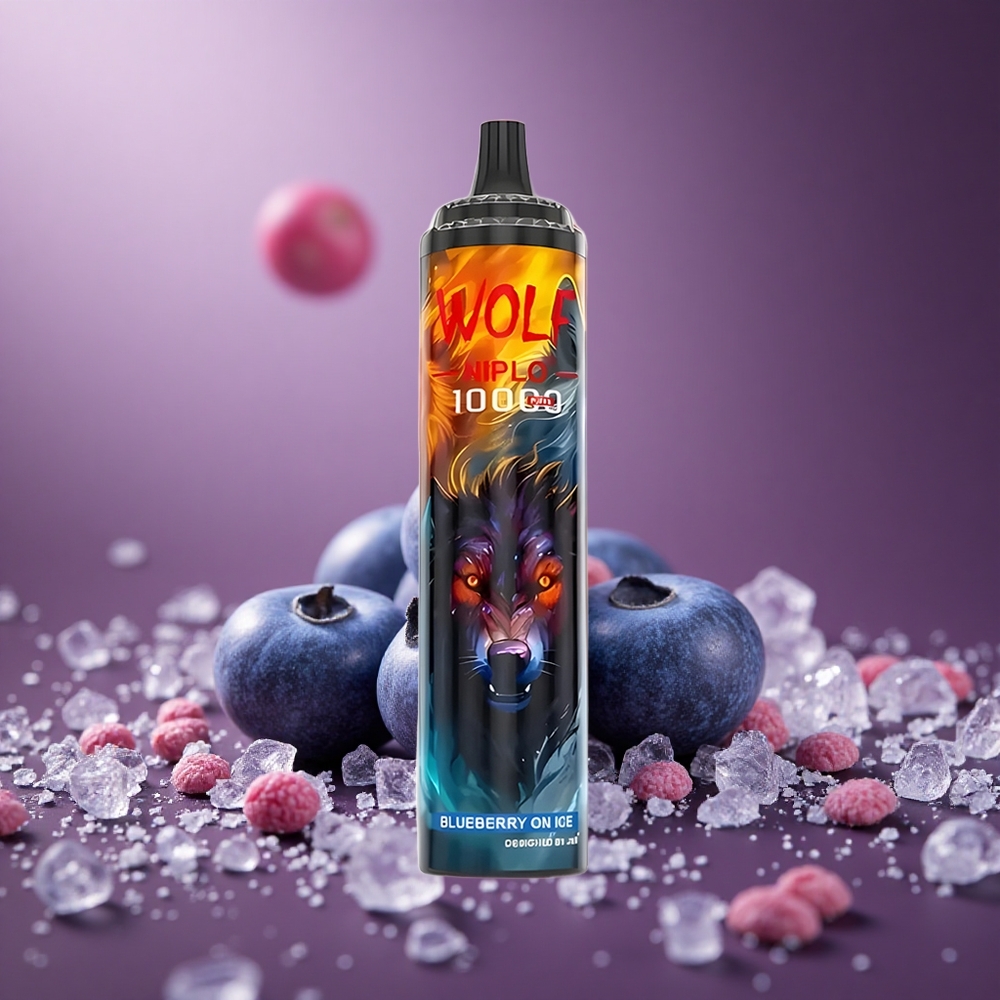 Blaubeere-Eis JNR Wolf Niplo 10000 Züge Österreich Großhandel 20ml E-Liquid Typ-C Schnellladung